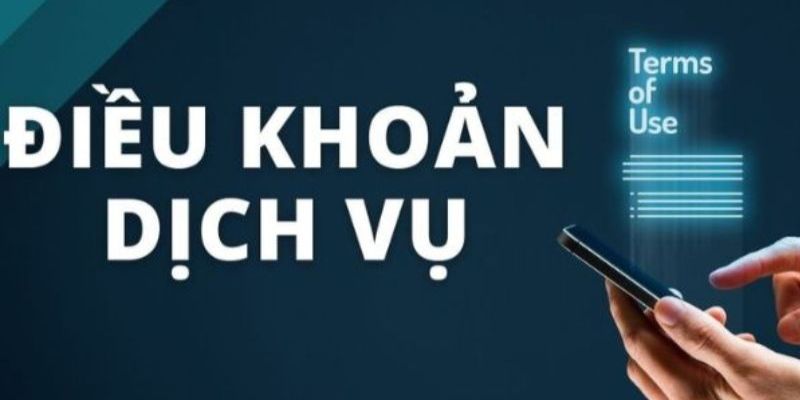 Cập nhật các nội dung điều khoản dịch vụ 82VN